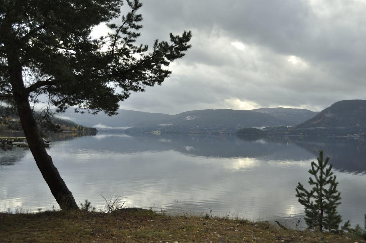 Fyresdal Gjestehus Moland Exterior foto